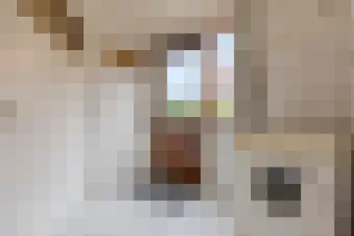 Oude Steenstraat 14 Oud Gastel thumbnail 25