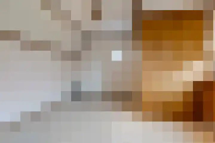 Oude Steenstraat 14 Oud Gastel thumbnail 31