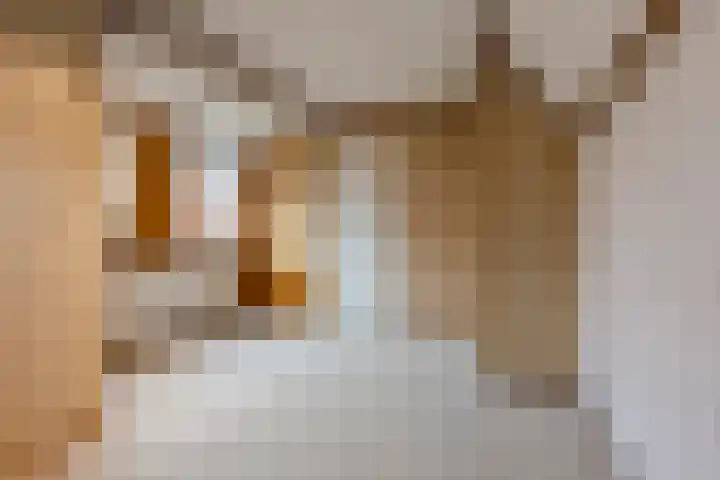 Oude Steenstraat 14 Oud Gastel thumbnail 32
