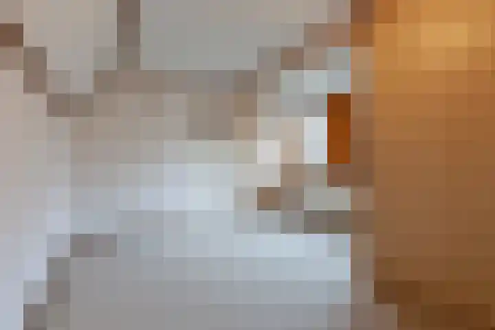 Oude Steenstraat 14 Oud Gastel thumbnail 34