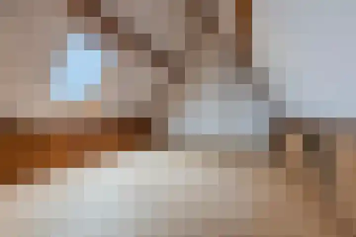 Oude Steenstraat 14 Oud Gastel thumbnail 41