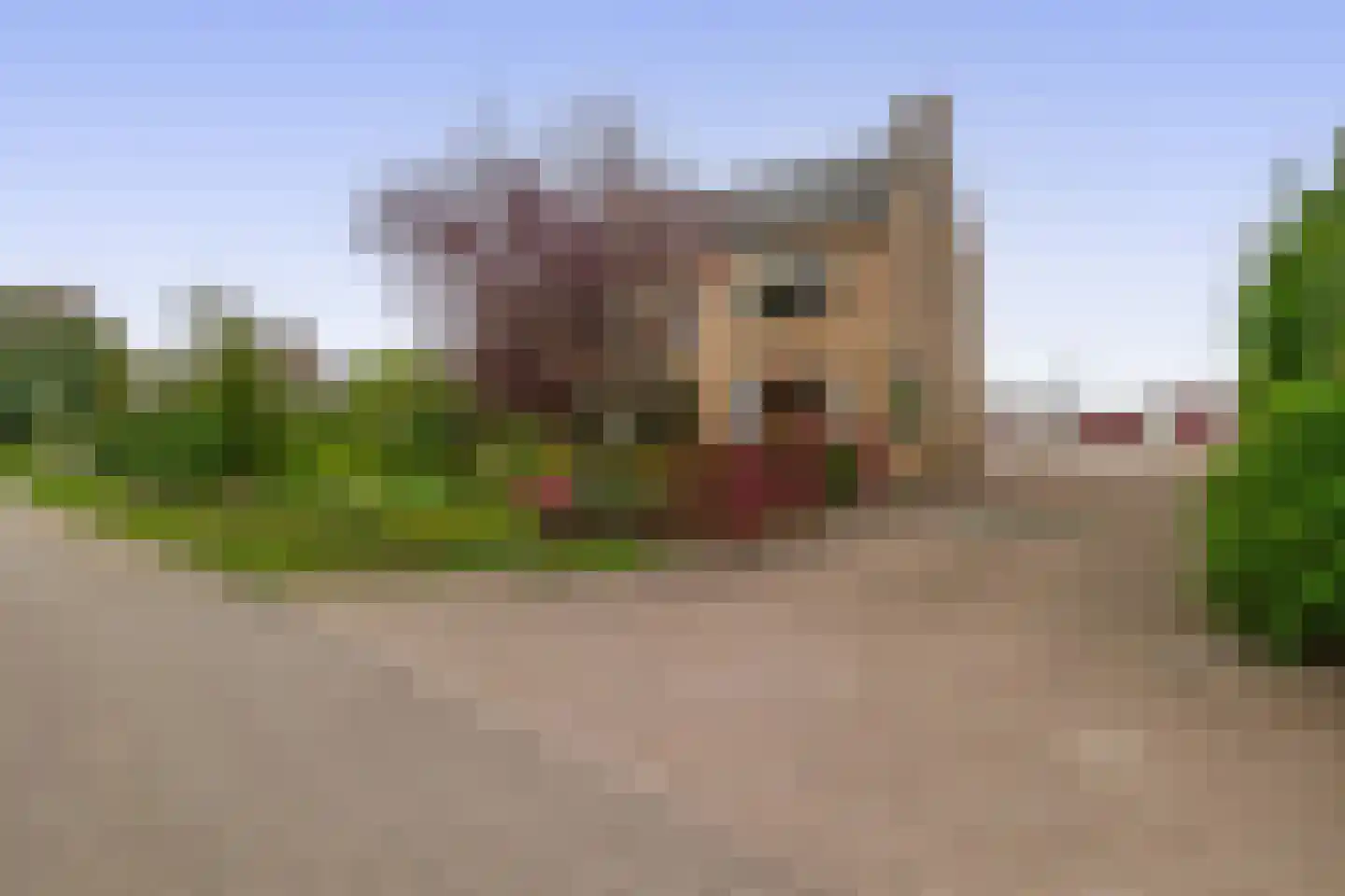 Oude Steenstraat 34 Oud Gastel thumbnail 15