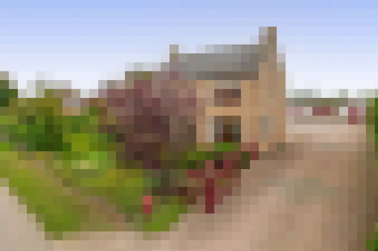 Oude Steenstraat 34 Oud Gastel thumbnail 19