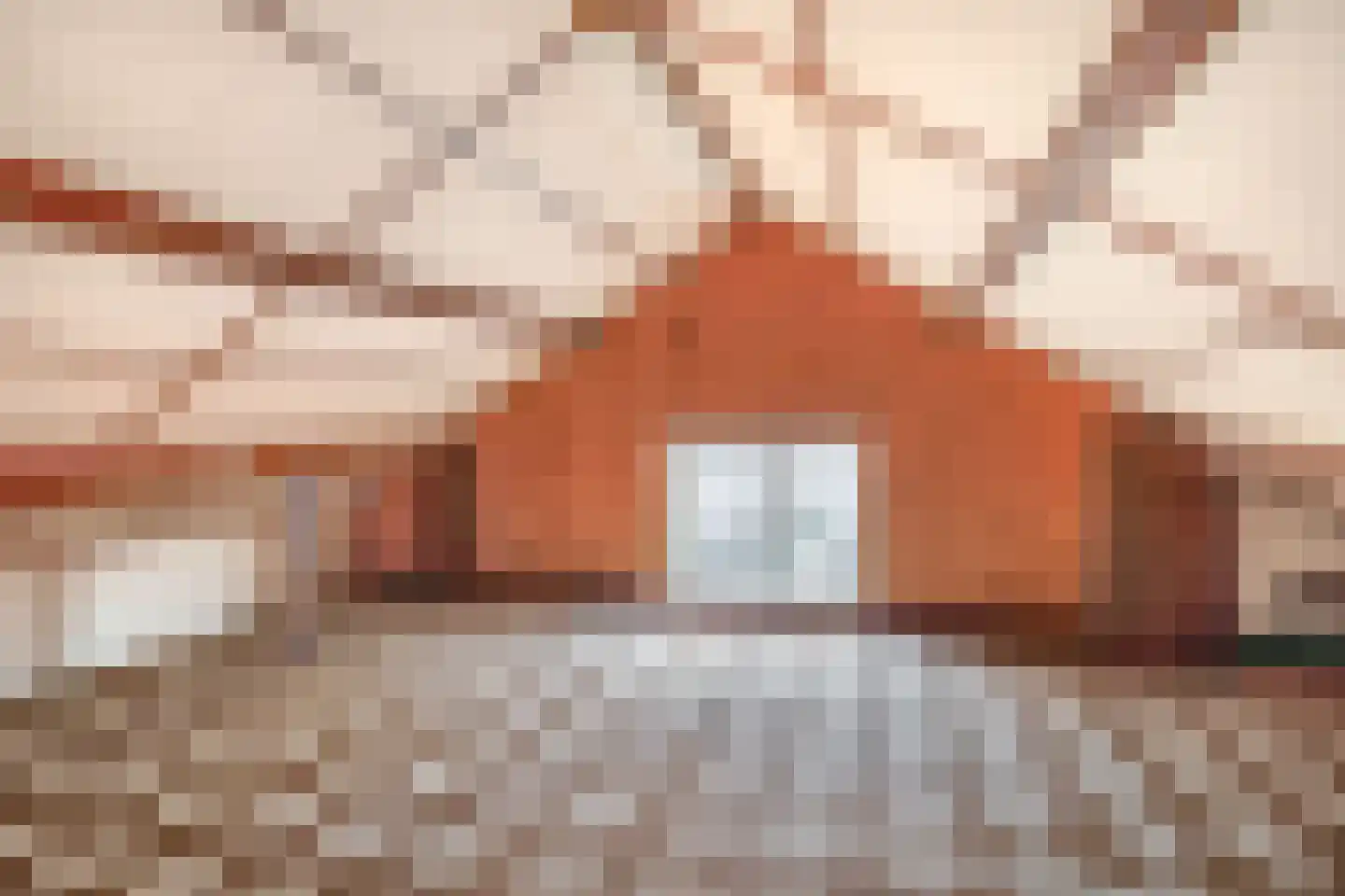 Oude Steenstraat 34 Oud Gastel thumbnail 68