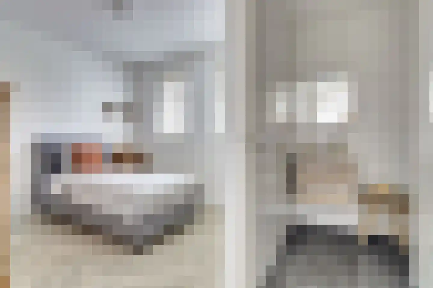 Oude Stoofweg 8 Noordwelle thumbnail 18