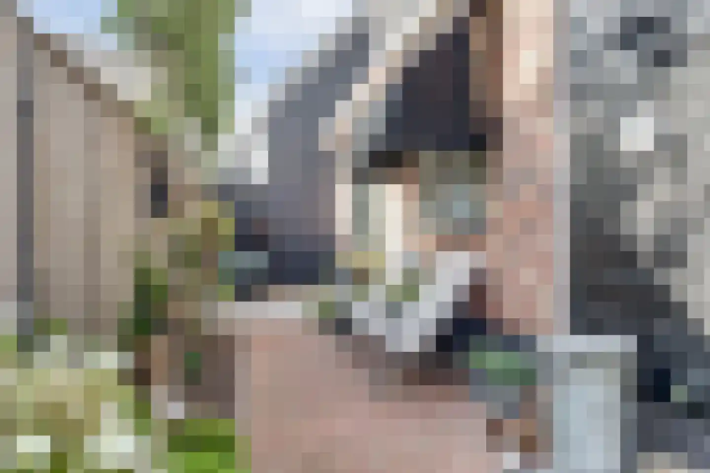 Oude Stoofweg 8 Noordwelle thumbnail 28