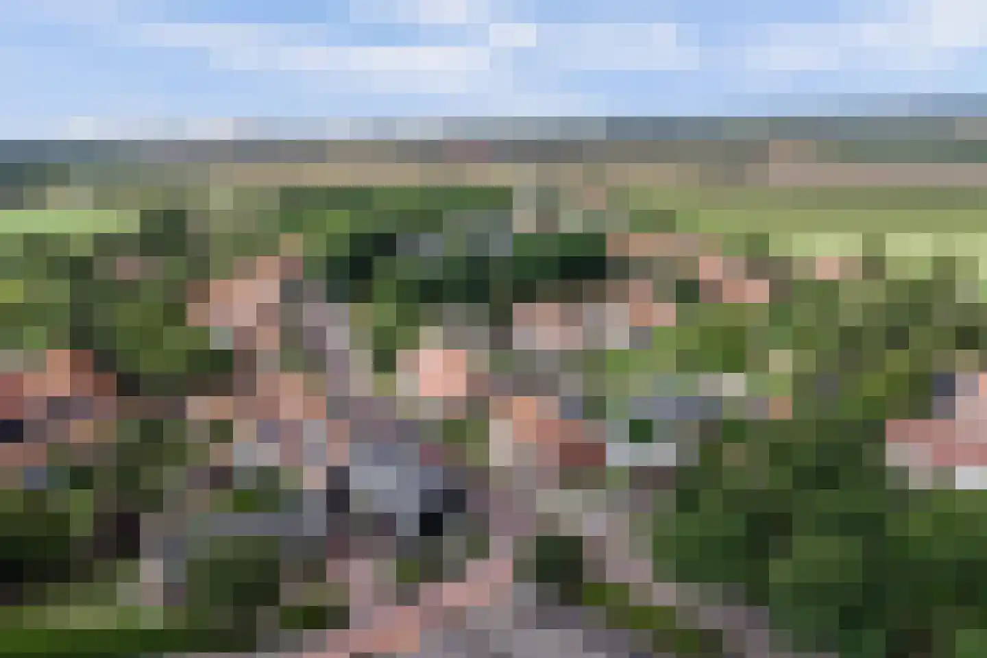 Oude Stoofweg 8 Noordwelle thumbnail 34