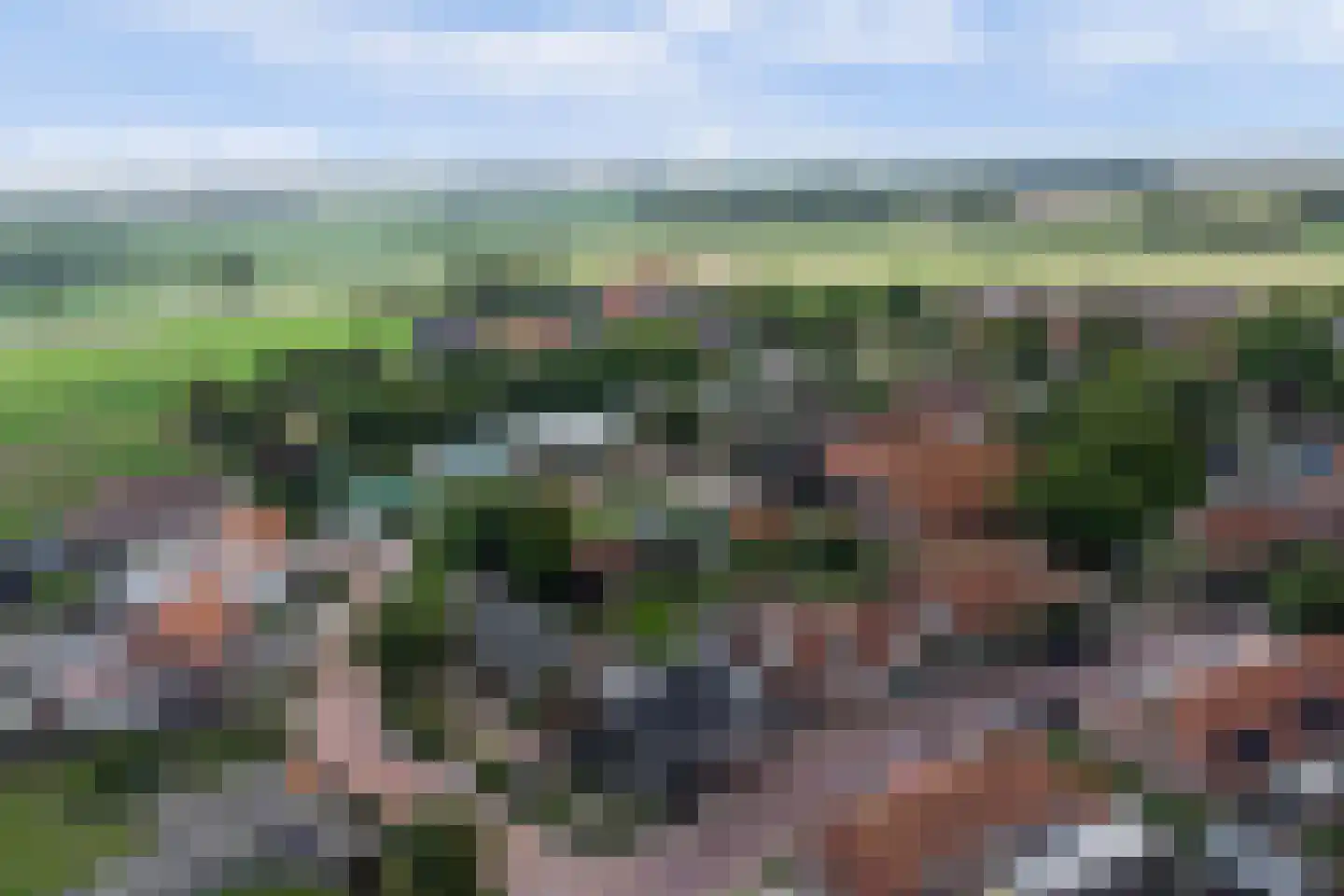 Oude Stoofweg 8 Noordwelle thumbnail 35
