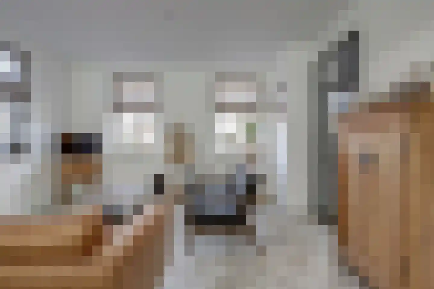 Oude Stoofweg 8 Noordwelle thumbnail 6