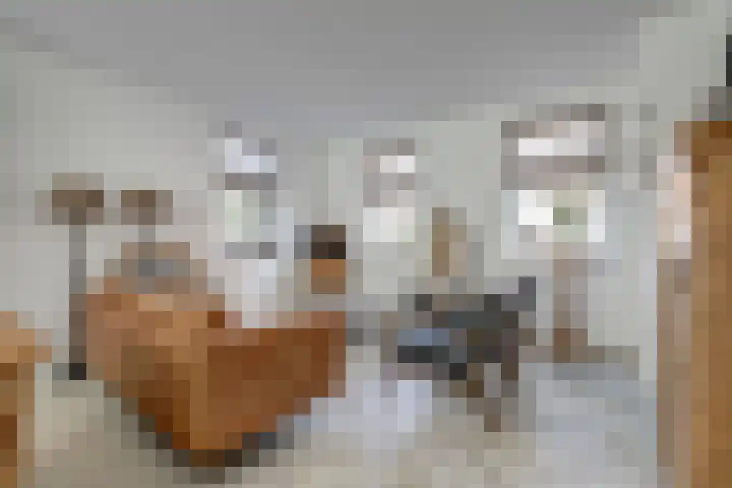 Oude Stoofweg 8 Noordwelle thumbnail 7