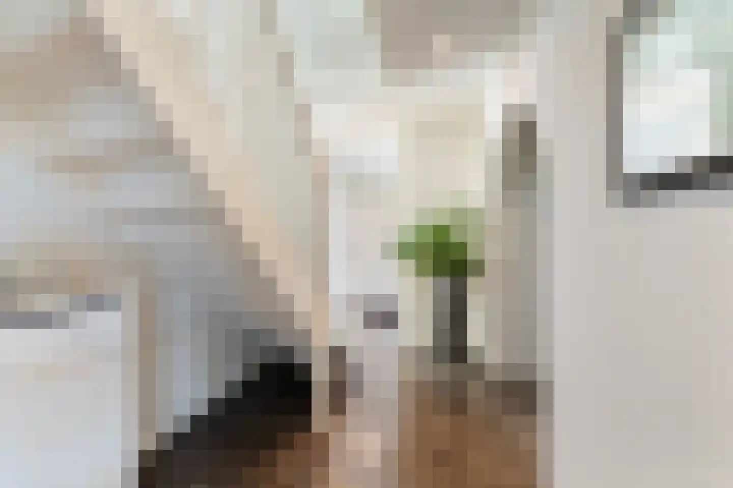 Oude Strang 13 Kampen thumbnail 15