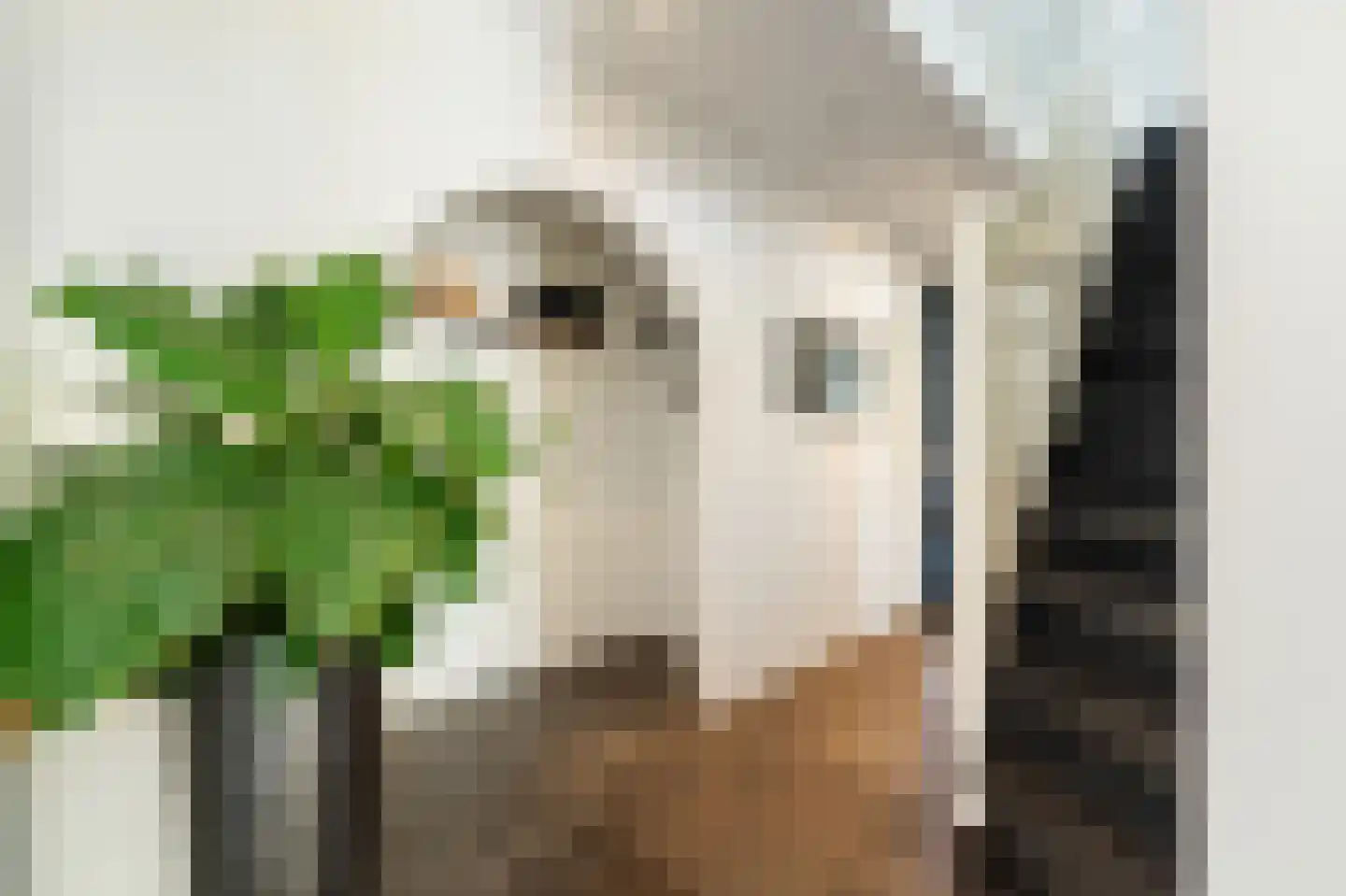 Oude Strang 13 Kampen thumbnail 16