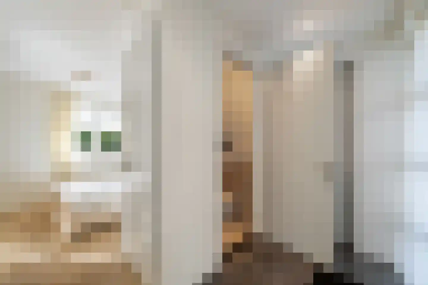 Oude Strang 13 Kampen thumbnail 35