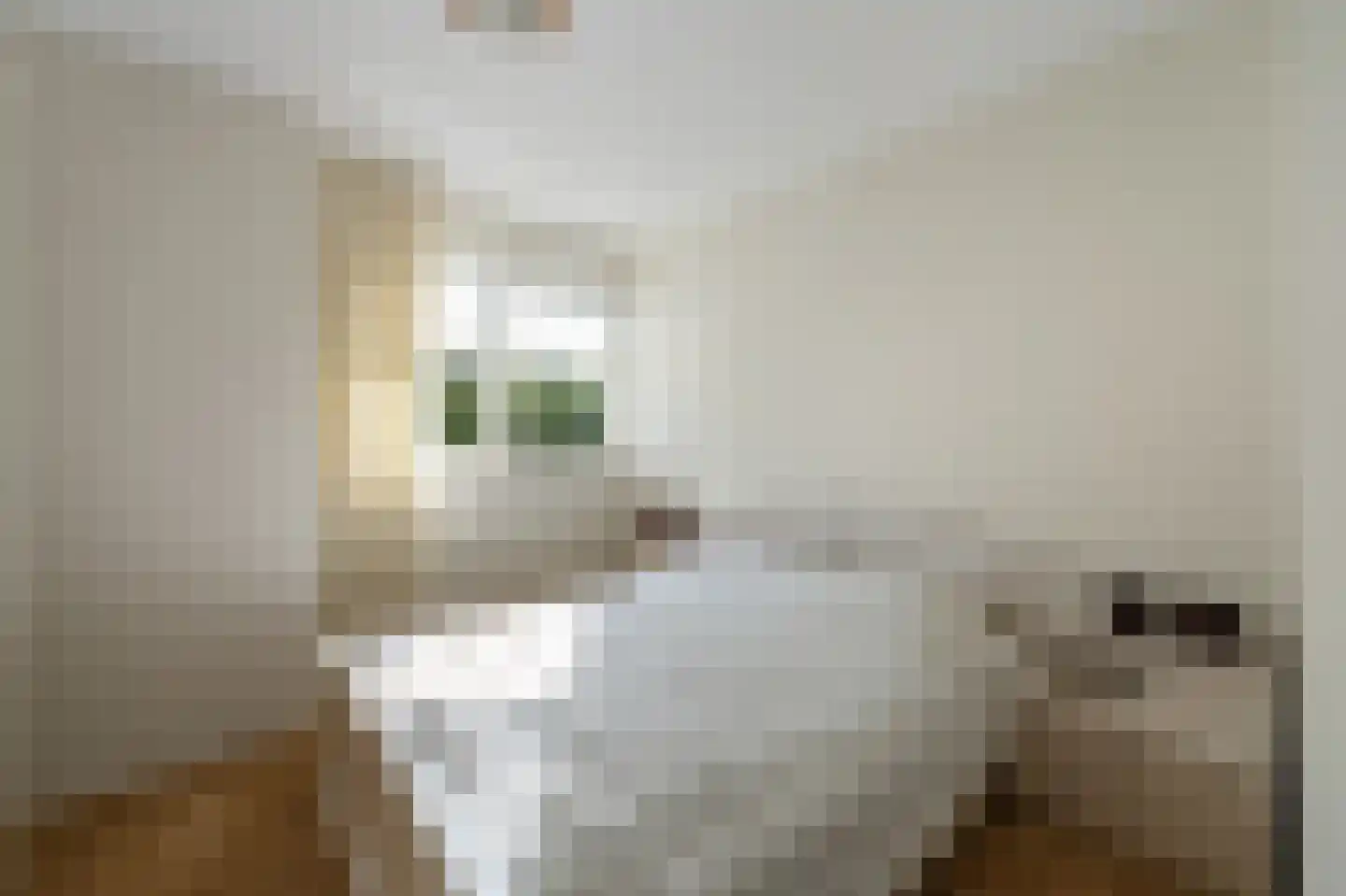 Oude Strang 13 Kampen thumbnail 36