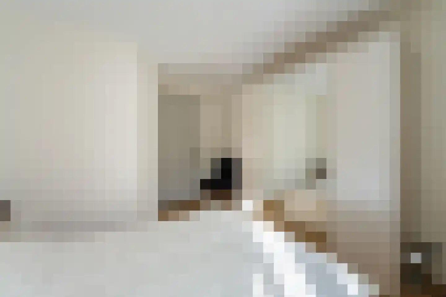 Oude Strang 13 Kampen thumbnail 38