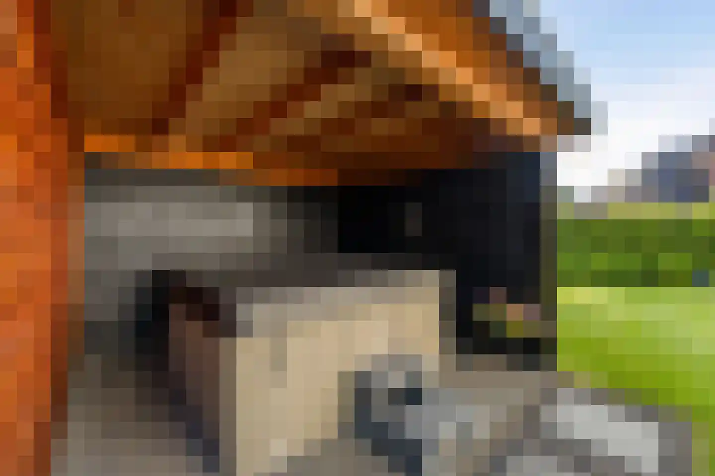 Oude Strang 13 Kampen thumbnail 48