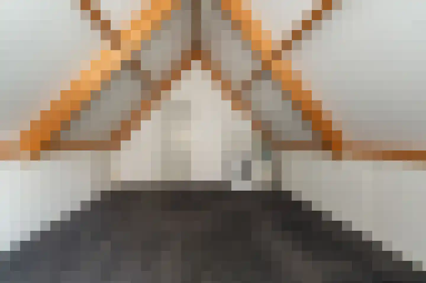 Oude Strang 13 Kampen thumbnail 54
