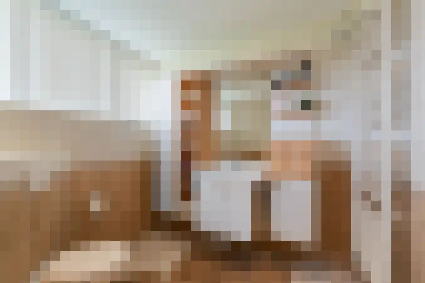 Oude Strang 13 Kampen thumbnail 61
