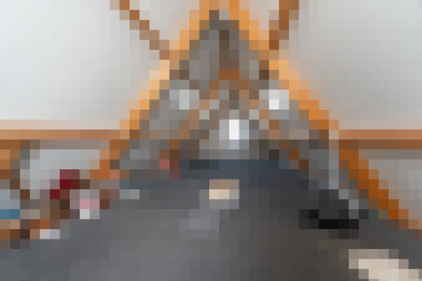 Oude Strang 13 Kampen thumbnail 71
