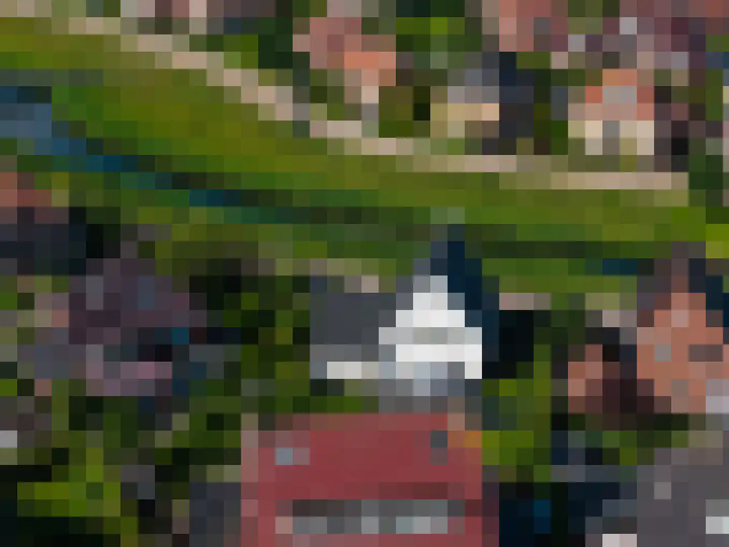 Oude Strang 13 Kampen thumbnail 80