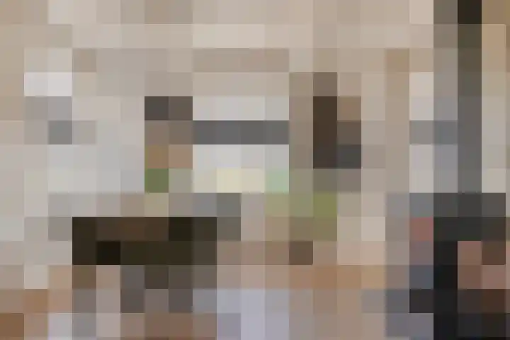 Oude Streek 42 Kolhorn thumbnail 10