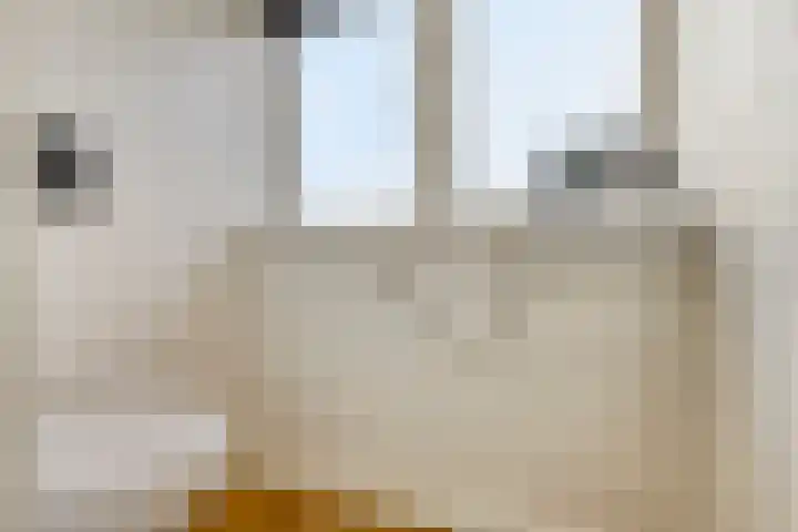 Oude Streek 42 Kolhorn thumbnail 25