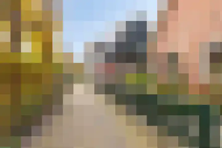 Oude Streek 42 Kolhorn thumbnail 29
