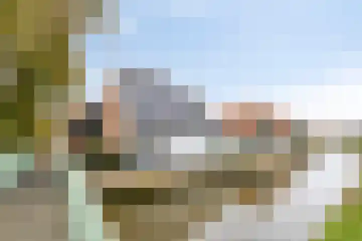 Oude Streek 42 Kolhorn thumbnail 30