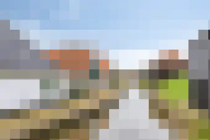 Oude Streek 42 Kolhorn thumbnail 31