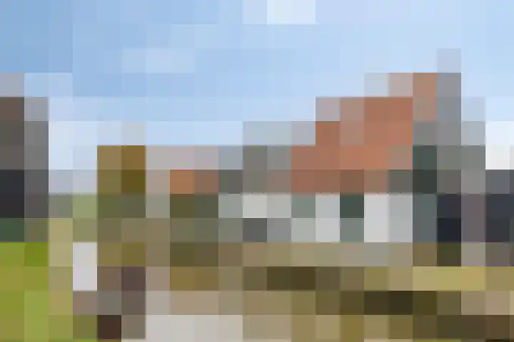 Oude Streek 42 Kolhorn thumbnail 32