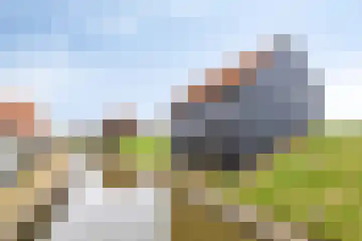 Oude Streek 42 Kolhorn thumbnail 34