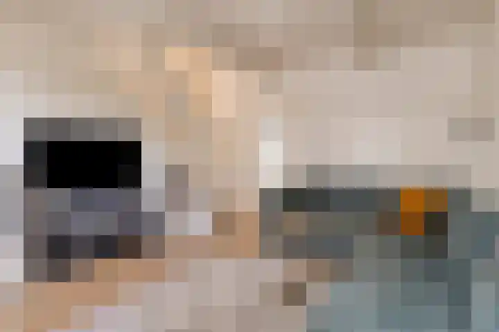 Oude Streek 42 Kolhorn thumbnail 8