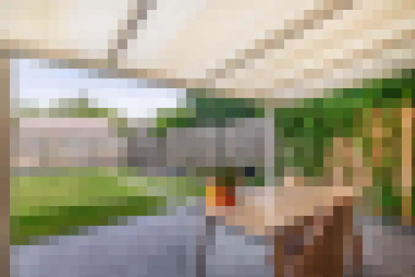 Oude Sultan 11 Eindhoven thumbnail 10
