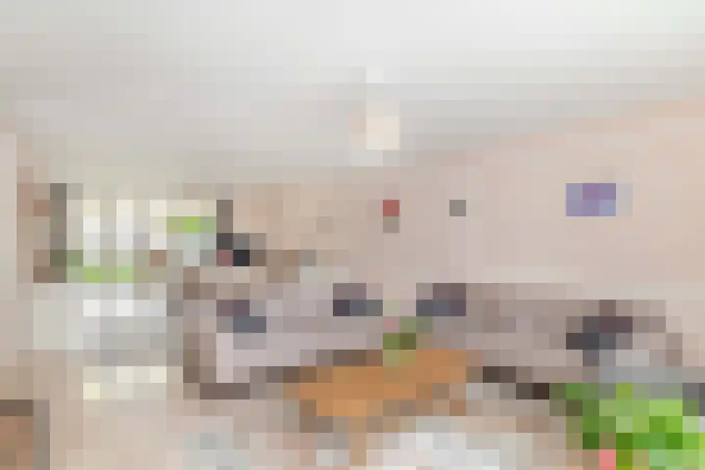 Oude Sultan 11 Eindhoven thumbnail 18
