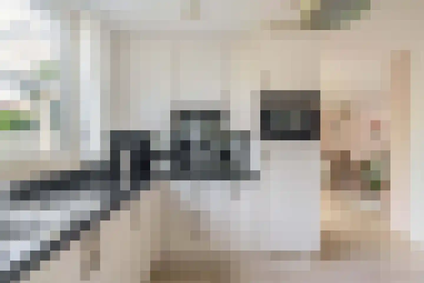Oude Sultan 11 Eindhoven thumbnail 27