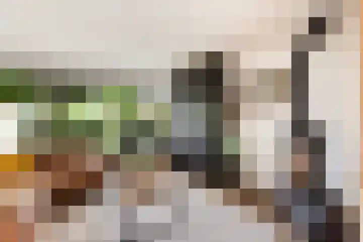 Oude Telgterweg 10 Ermelo thumbnail 11