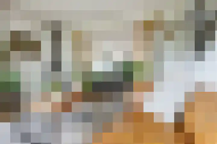 Oude Telgterweg 10 Ermelo thumbnail 12