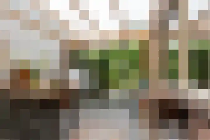 Oude Telgterweg 10 Ermelo thumbnail 14