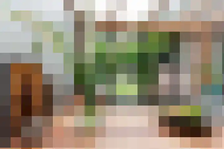 Oude Telgterweg 10 Ermelo thumbnail 15