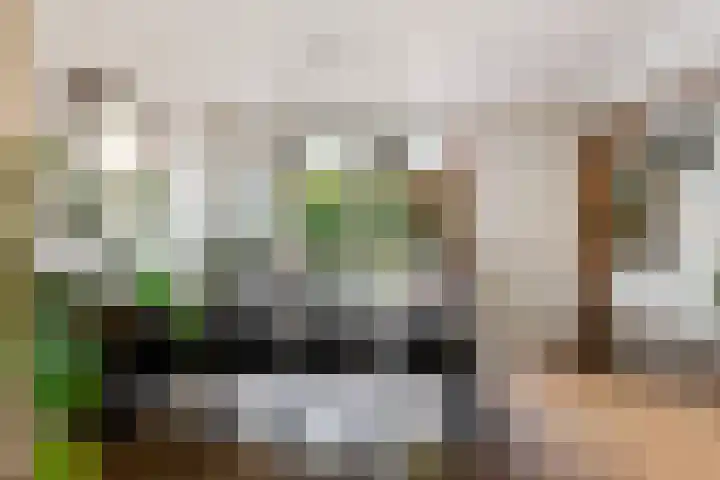 Oude Telgterweg 10 Ermelo thumbnail 19