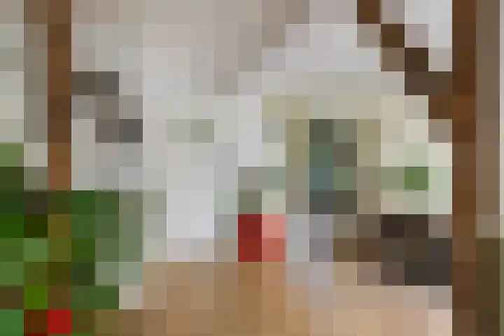 Oude Telgterweg 10 Ermelo thumbnail 20
