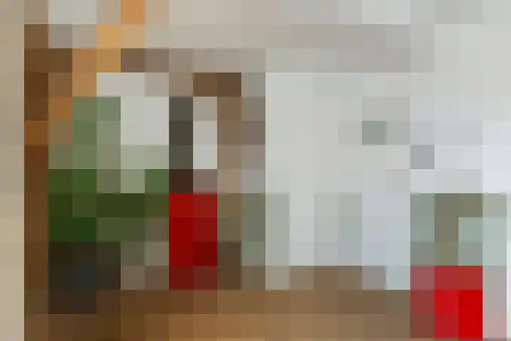 Oude Telgterweg 10 Ermelo thumbnail 21