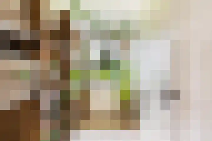 Oude Telgterweg 10 Ermelo thumbnail 31