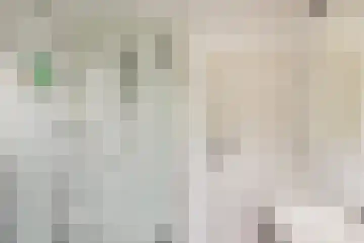Oude Telgterweg 10 Ermelo thumbnail 36