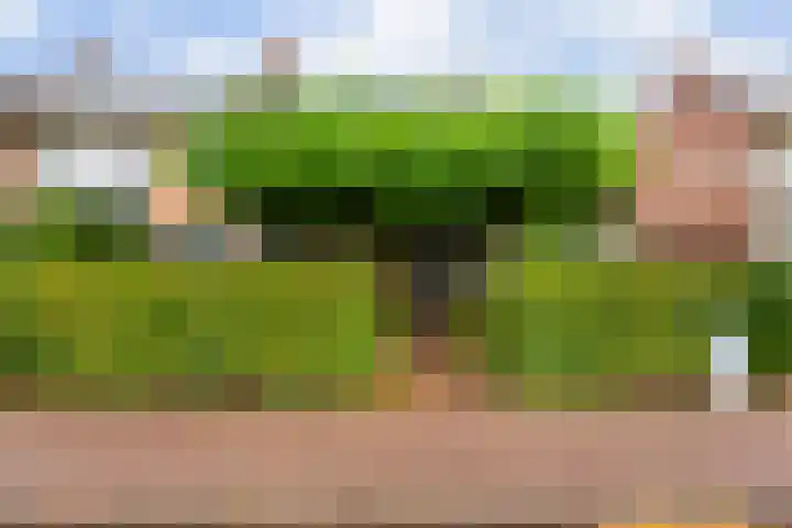 Oude Telgterweg 10 Ermelo thumbnail 4
