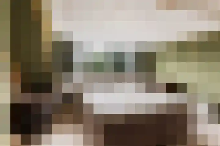 Oude Telgterweg 10 Ermelo thumbnail 40