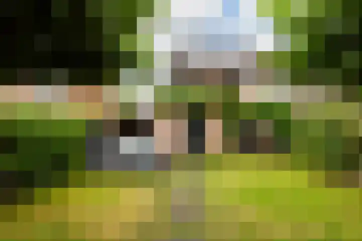 Oude Telgterweg 10 Ermelo thumbnail 41