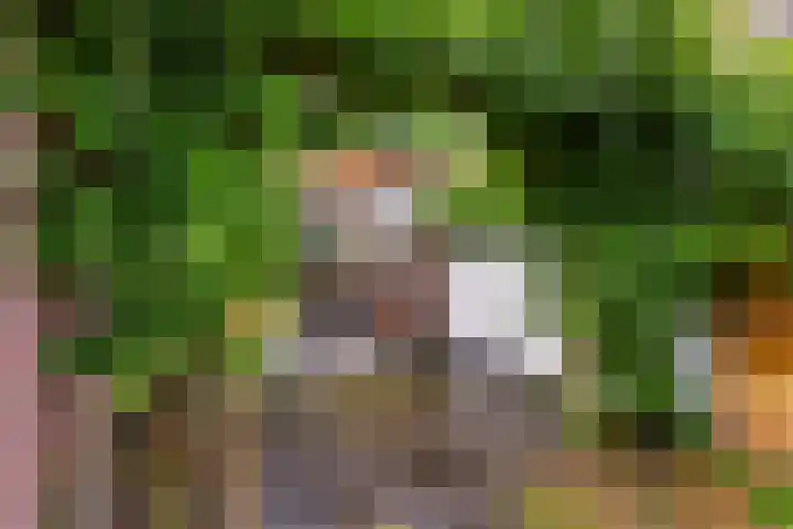 Oude Telgterweg 10 Ermelo thumbnail 42
