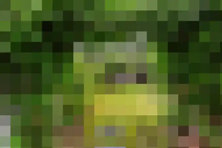 Oude Telgterweg 10 Ermelo thumbnail 43