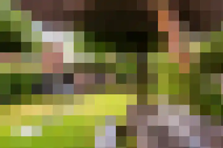 Oude Telgterweg 10 Ermelo thumbnail 44